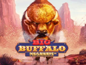 game logo by Skywind Group on hollywins.nl