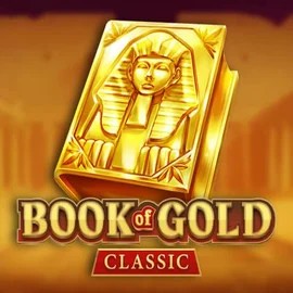 game logo by Playson on hollywins.nl